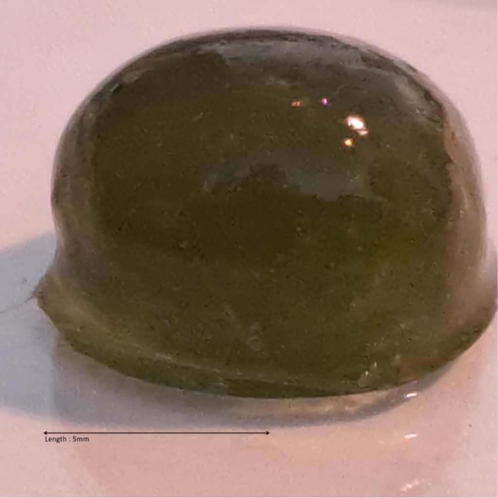 Aphanothece stagnina
2025-07-20