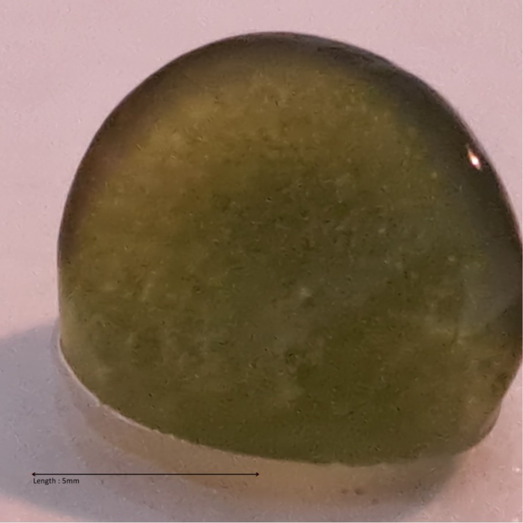 Aphanothece stagnina
2025-07-20